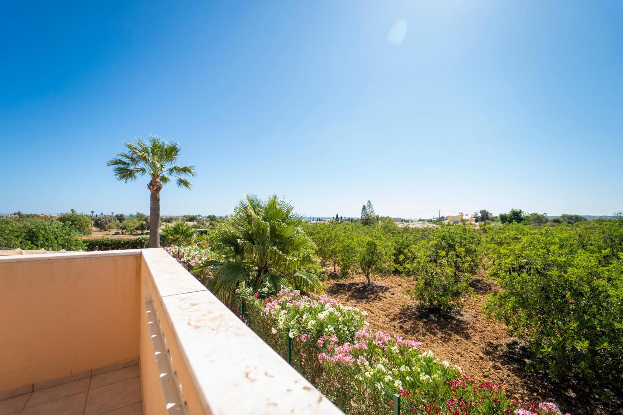 Apartamentos Monte Dos Avos, Albufeira Ngoại thất bức ảnh